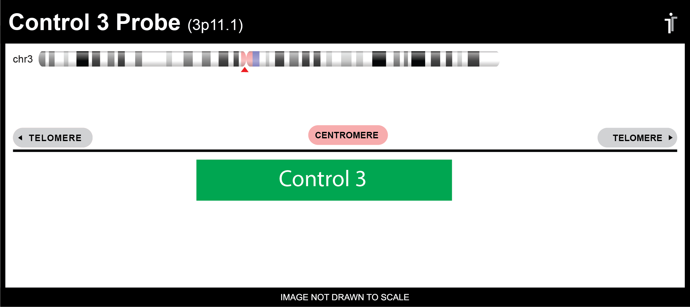 Chromosome