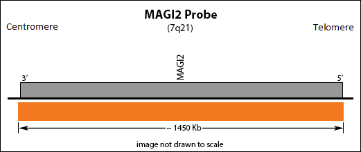 MAGI2 FISH Probe Ideogram